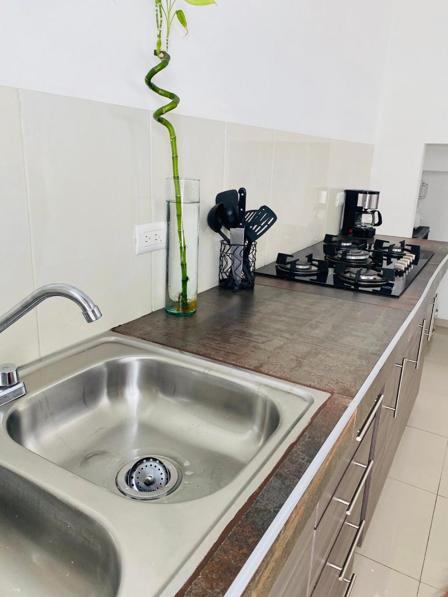Casa Grande Y Comoda Cerca De Zona Industrial San Luis Potosí Eksteriør billede